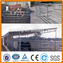 Anping fábrica Galvanizado Pipe Livestock Corral / Horse Painel